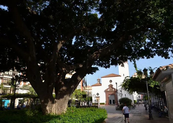 Cervantes * Fuengirola